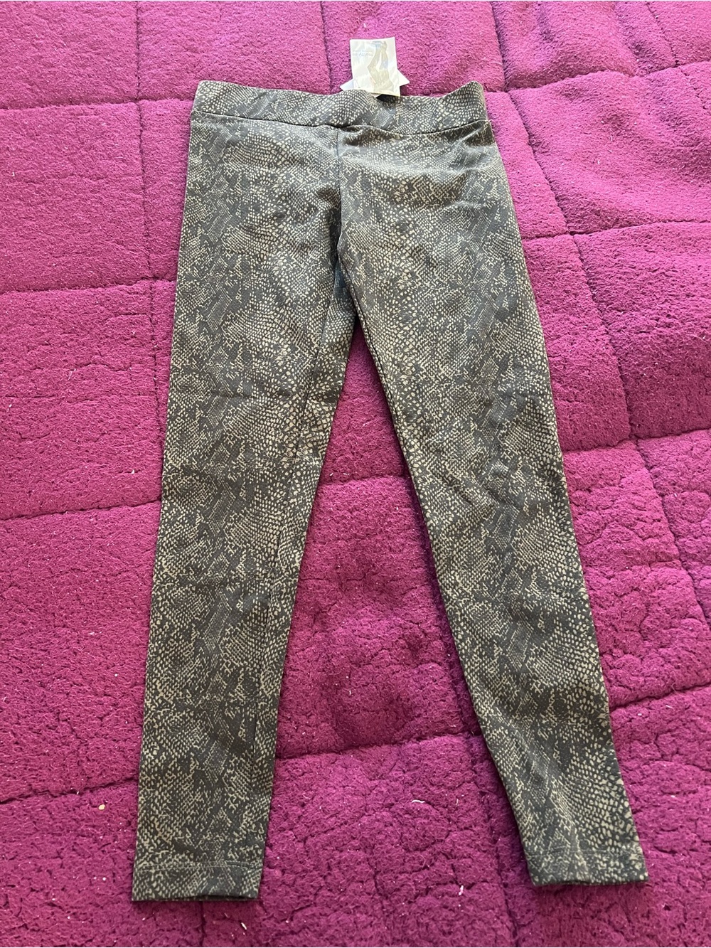 Matty M Snake-Print Stretch Leggings NWT S